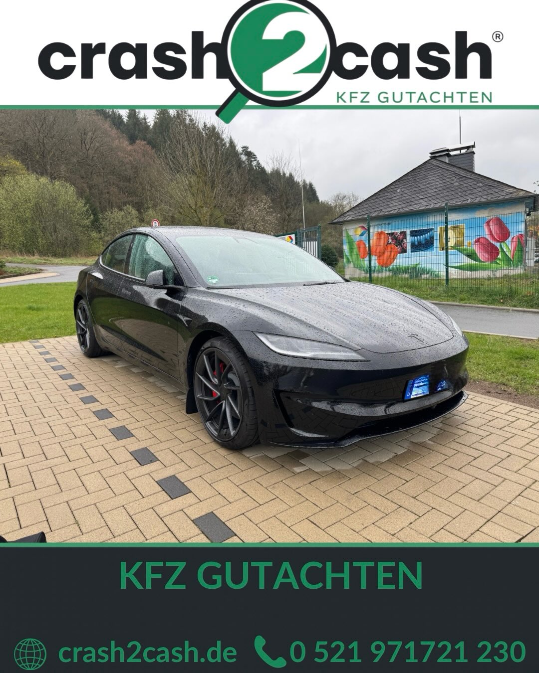 Detailaufnahme bei der Begutachtung